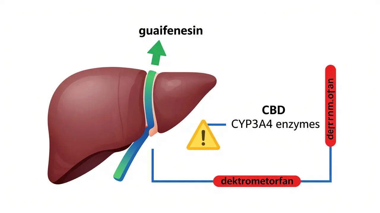 Schematic znázorňující metabolizmus guaifenesinu a CBD v játrech s varováním na interakci.