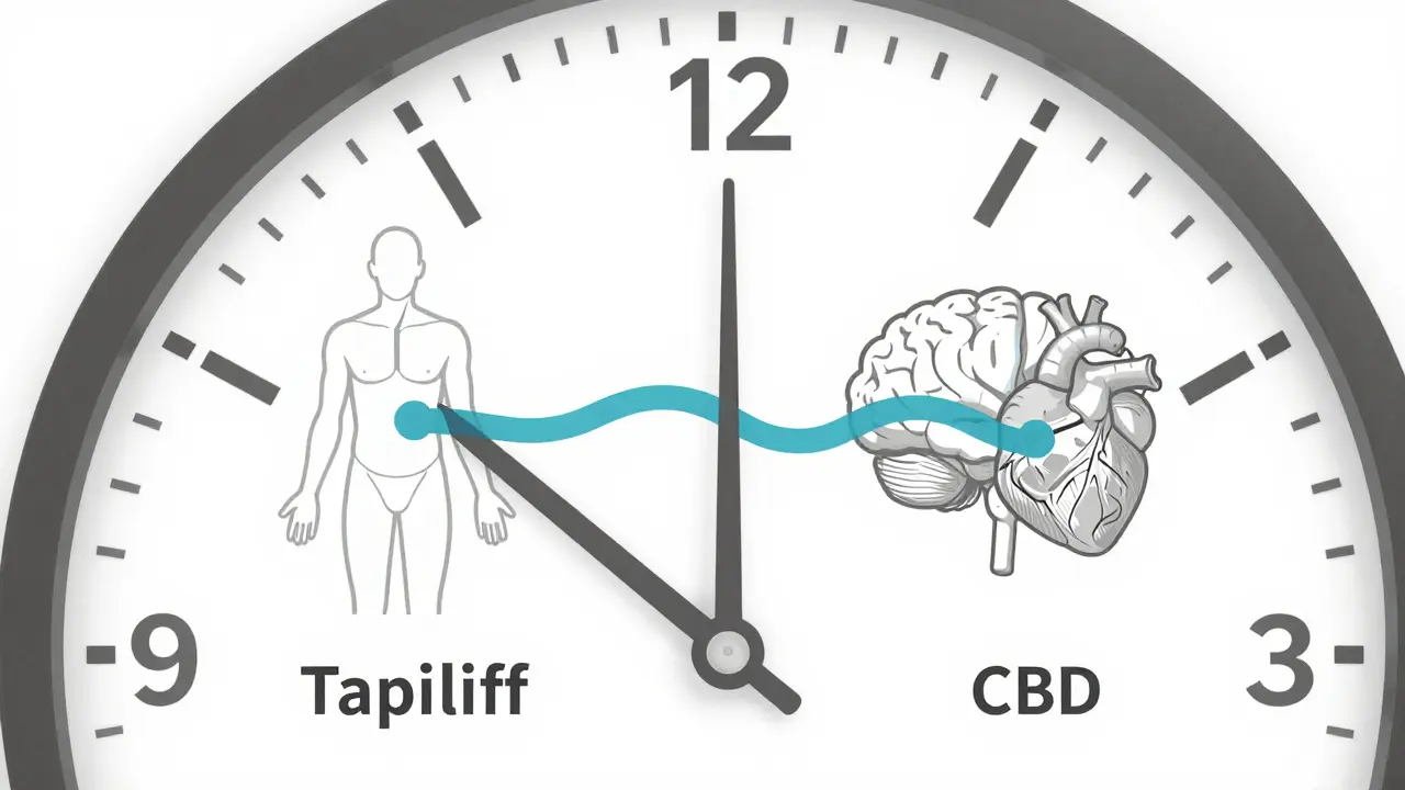 Časový diagram ukazující nezávislé účinky Cialisu a CBD — krevní tok a klid bez interakce.